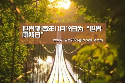 世界杯|每年11月19日为“世界厕所日”(图1) 世界杯