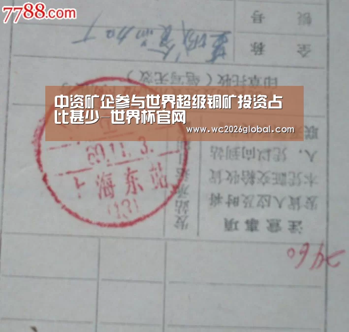 中资矿企参与世界超级铜矿投资占比甚少-世界杯官网(图3) 世界杯官网