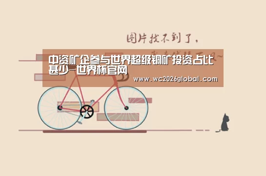 中资矿企参与世界超级铜矿投资占比甚少-世界杯官网(图2) 世界杯