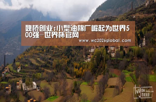 魏桥创业:小型油棉厂崛起为世界500强-世界杯官网(图2) FIFA世界杯
