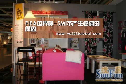 FIFA世界杯-SMI不产生疼痛的原因(图3) 世界杯官网