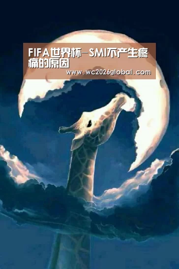 FIFA世界杯-SMI不产生疼痛的原因(图2) 世界杯官网