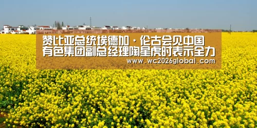 赞比亚总统埃德加·伦古会见中国有色集团副总经理陶星虎时表示全力支持中国有色集团在赞投资发展_世界杯(图3) 世界杯