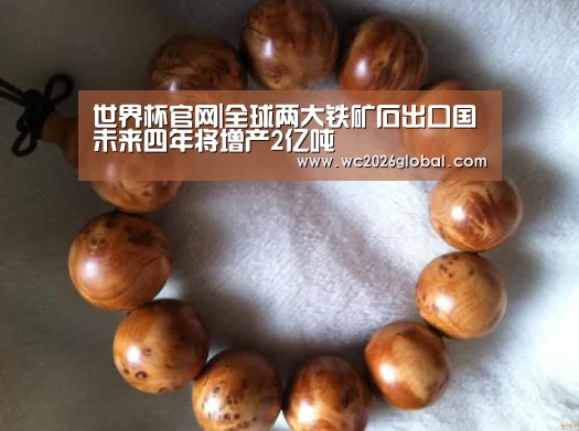 世界杯官网|全球两大铁矿石出口国未来四年将增产2亿吨(图3) 世界杯官网