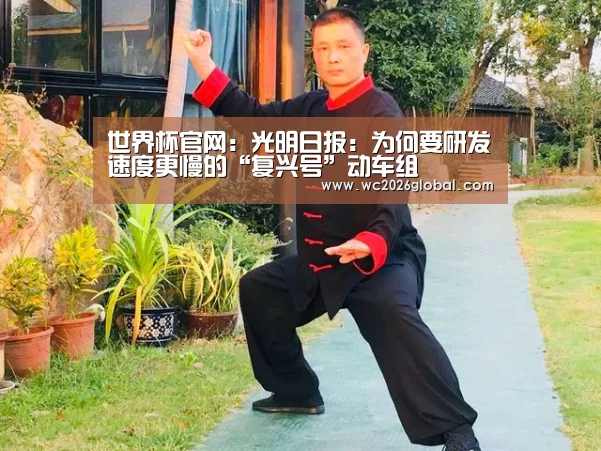 世界杯官网:光明日报:为何要研发速度更慢的“复兴号”动车组(图1) 2026世界杯