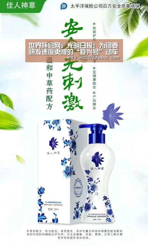 世界杯官网:光明日报:为何要研发速度更慢的“复兴号”动车组(图4) 2026世界杯