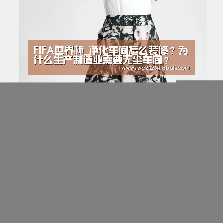 FIFA世界杯_净化车间怎么装修?为什么生产制造业需要无尘车间?(图3) 世界杯